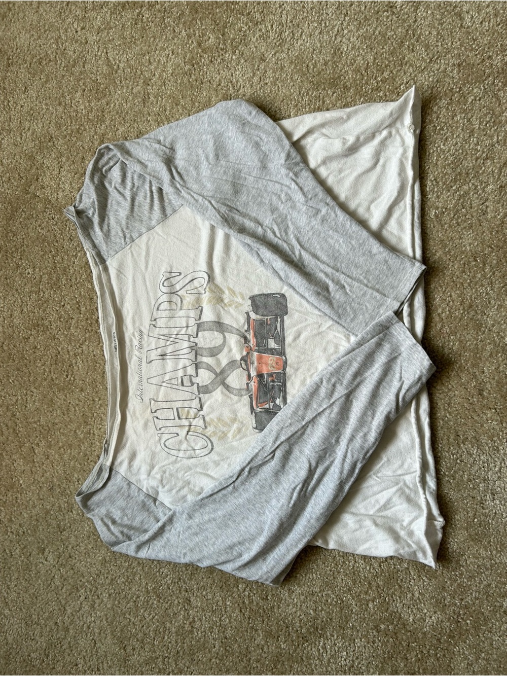 Hollister Gray & White Raglan Graphic Long Sleeve Tee
